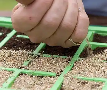 Unlock Farming Success Image