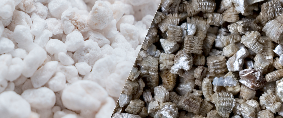 Perlite improves drainage, while vermiculite retains moisture for better plant growth.