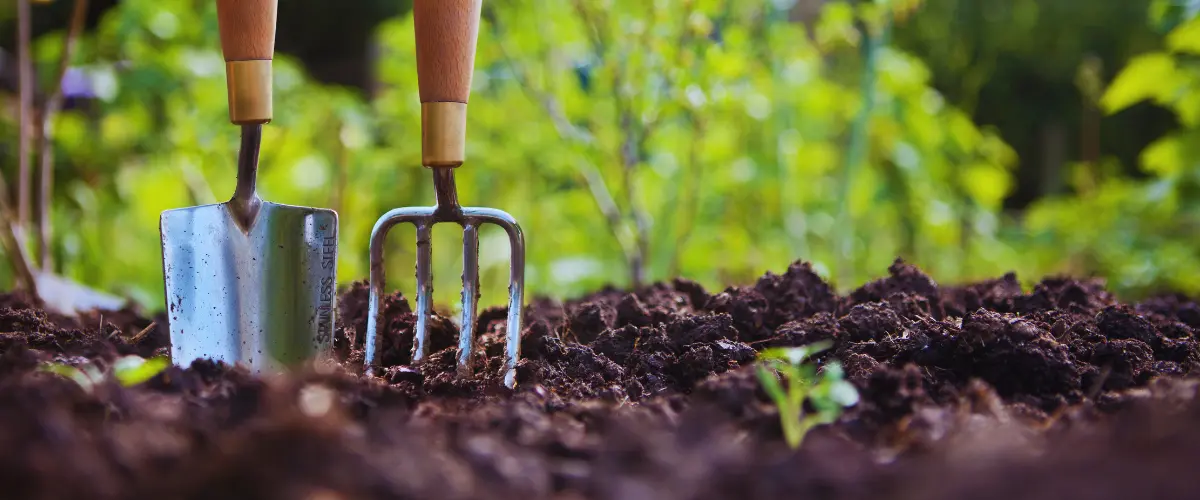 Garden fork and spade standing in freshly loosened garden soil
