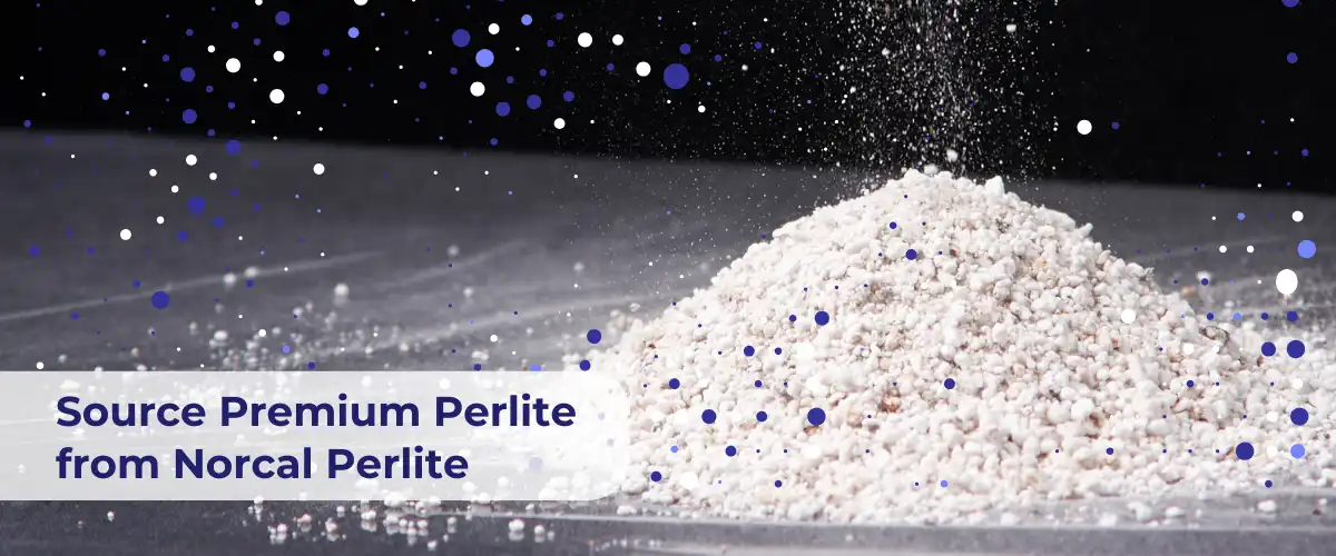 Premium Perlite Norcal Perlite - Norcal Perlite Premium Norcal Perlite for succulent soil drainage and aeration