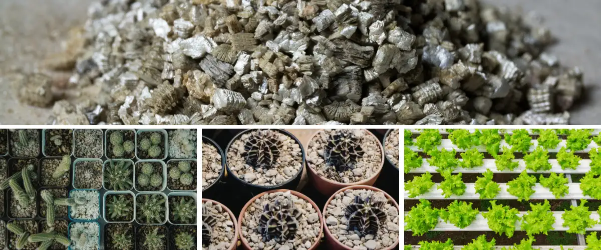 Bulk vermiculite used for seed starting, pots, and hydroponic growing